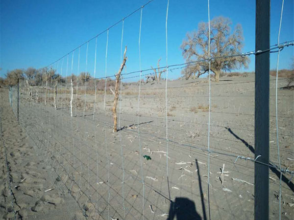 草原圍欄網應用